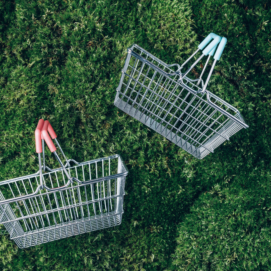 Sustainability Strategies for Retail Success